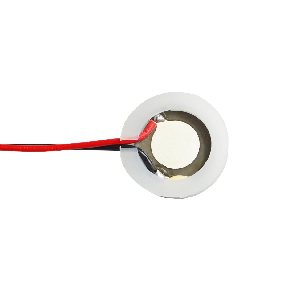 Voor 2 Stuks Fogger Mist Maker Transducers Piëzo