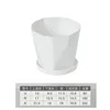 R White with Base