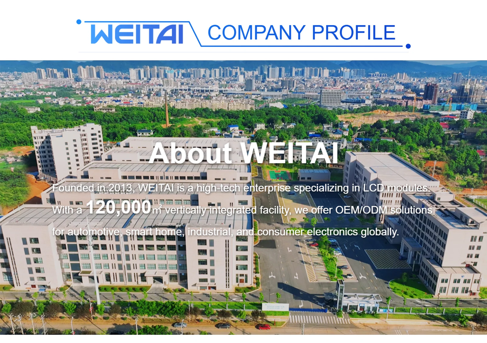 WEITAI 9.16 Inch IPS TFT LCD Module 462x1920 Resolution 400 Cd/m Brightness 4-Lane MIPI Interface LED Backlight Smart Home supplier