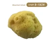 FS10 กำมะหยี่ฟอกขาว 8-10ซม