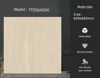TTDS66036