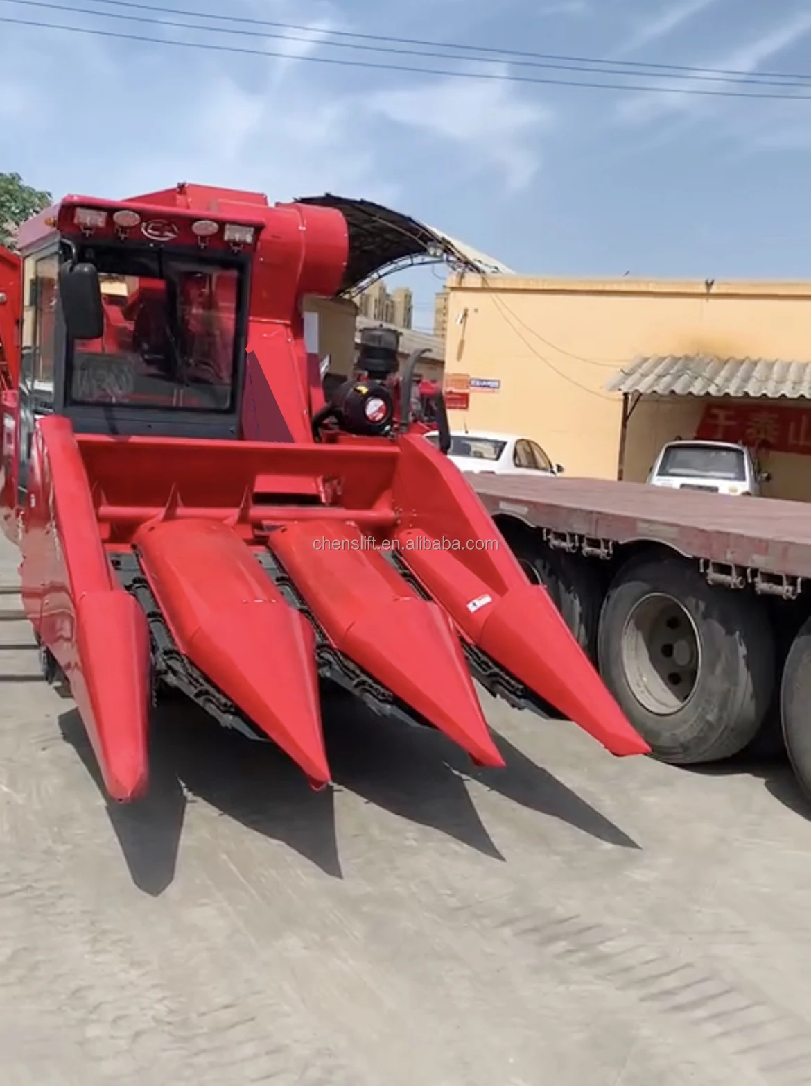 Fresh Sweet Corn Cob Combine Harvester Crawler Corn Pasture Forage