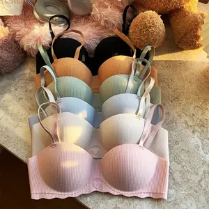 Wholesale Daily Wear Women's Padded Lingerie Bra Seamless Push-up Bra Embroidered Technics Hook Breathable Direct Factory