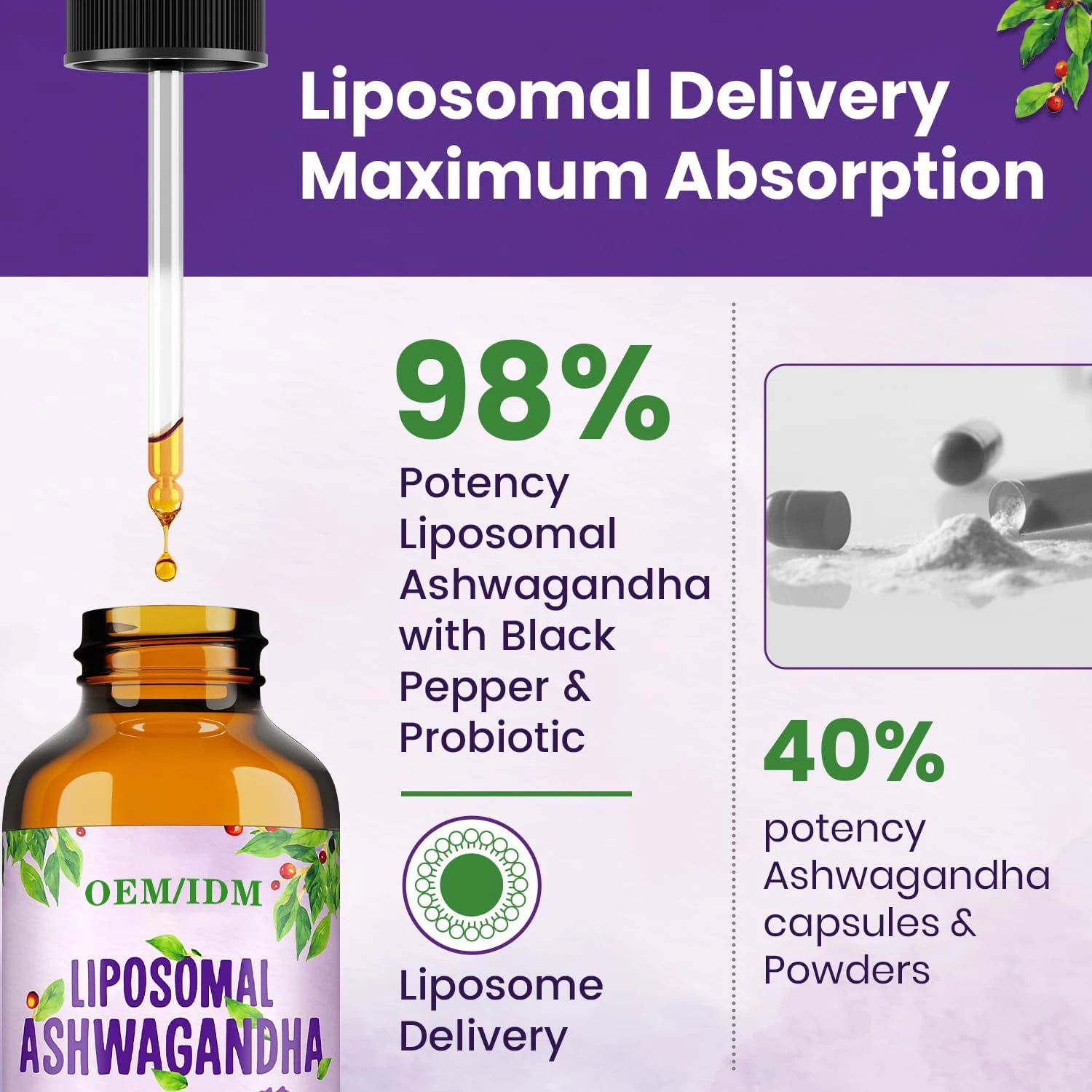 Free Sample Liquid Ashwagandha KSM 66 Root Extract Cognitive Function and Focus Booster Drops for Adults