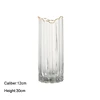 Gold-rimmed Transparent (L)