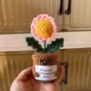 rosa 4
