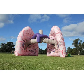 Zhenmei Manufacturer Custom 4-meter Medical theme advertising inflatable lung event inflatable realistic lung model for exhibit