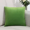 Vert clair
