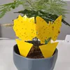 Yellow flowers