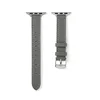 Gray + silver buckle