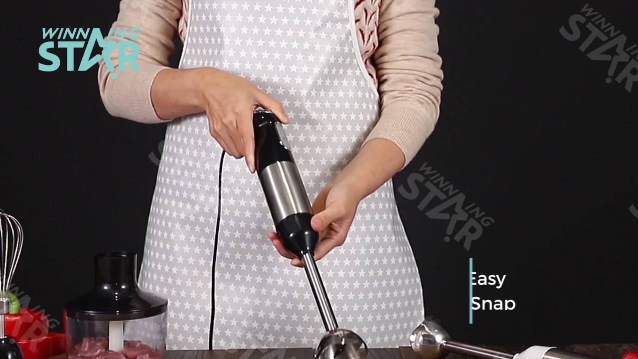 Winning Star Hot Sale Electric Hand Mixer St5519 Egg Shaker Hand Mixer