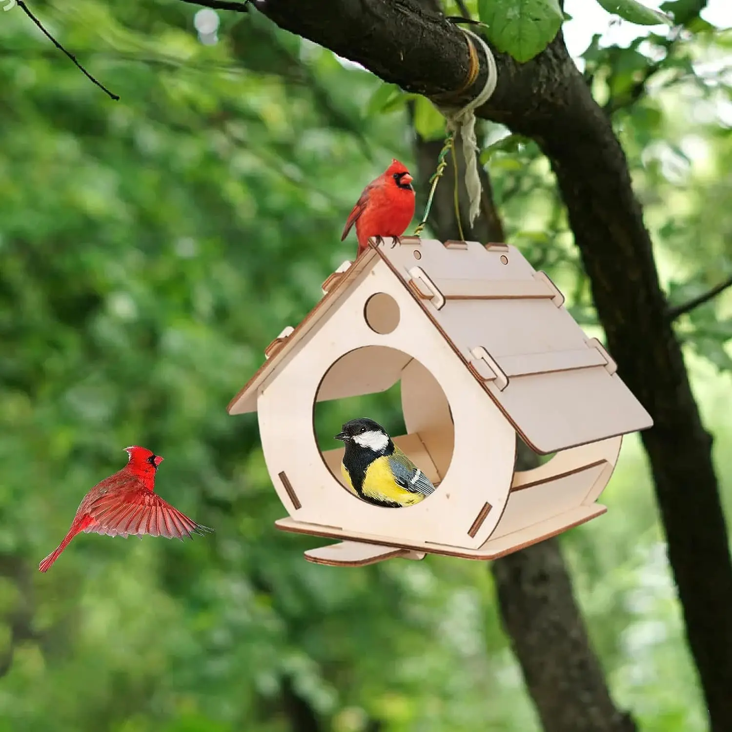 Suspended Circular Wooden Bird Feeder Diy Assembly Outdoor Garden ...