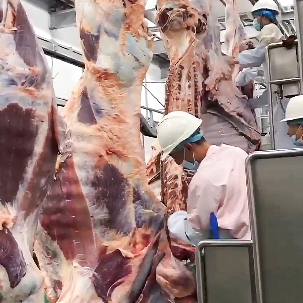 Alibaba.com: Automatic 150 Cow Slaughtering Equipment Cattle Slaughter ...