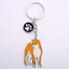 Akita
