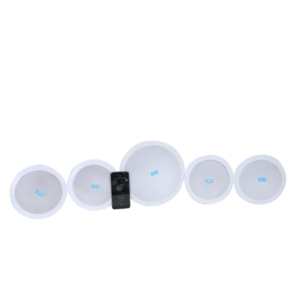 High Quality Home Theater Karaoke System Ceiling Speaker with Wireless Microphone WiFi & RJ45 Communication