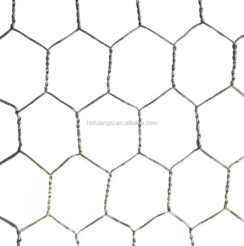 Galvanized Chicken Wire Mesh for Plaster