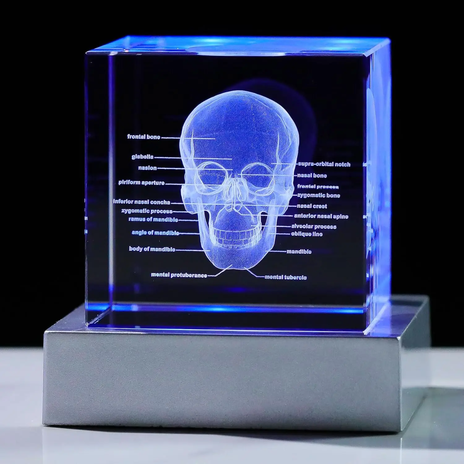 Leuchtendes menschliches Schädelmodell, K9-Kristallwürfel im Großhandel, Anatomie-Schädel-Skelett, 3D-Laser-Kristallglas-Kunst mit farbigem LED-Sockel