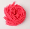 Pastèque rouge