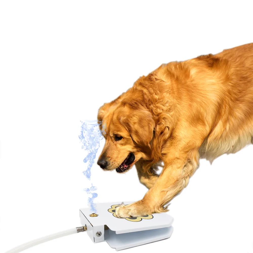 pet drinking water fountain