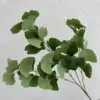 #2 ginkgo biloba leaves