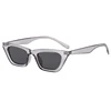 C3.Clear Gray