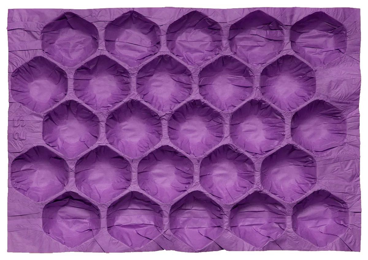 Disposable 100% Biodegradable Fresh Fruit and Vegetables Packing Insert 2 Layers Plum Alveoli Paper Tray Liner