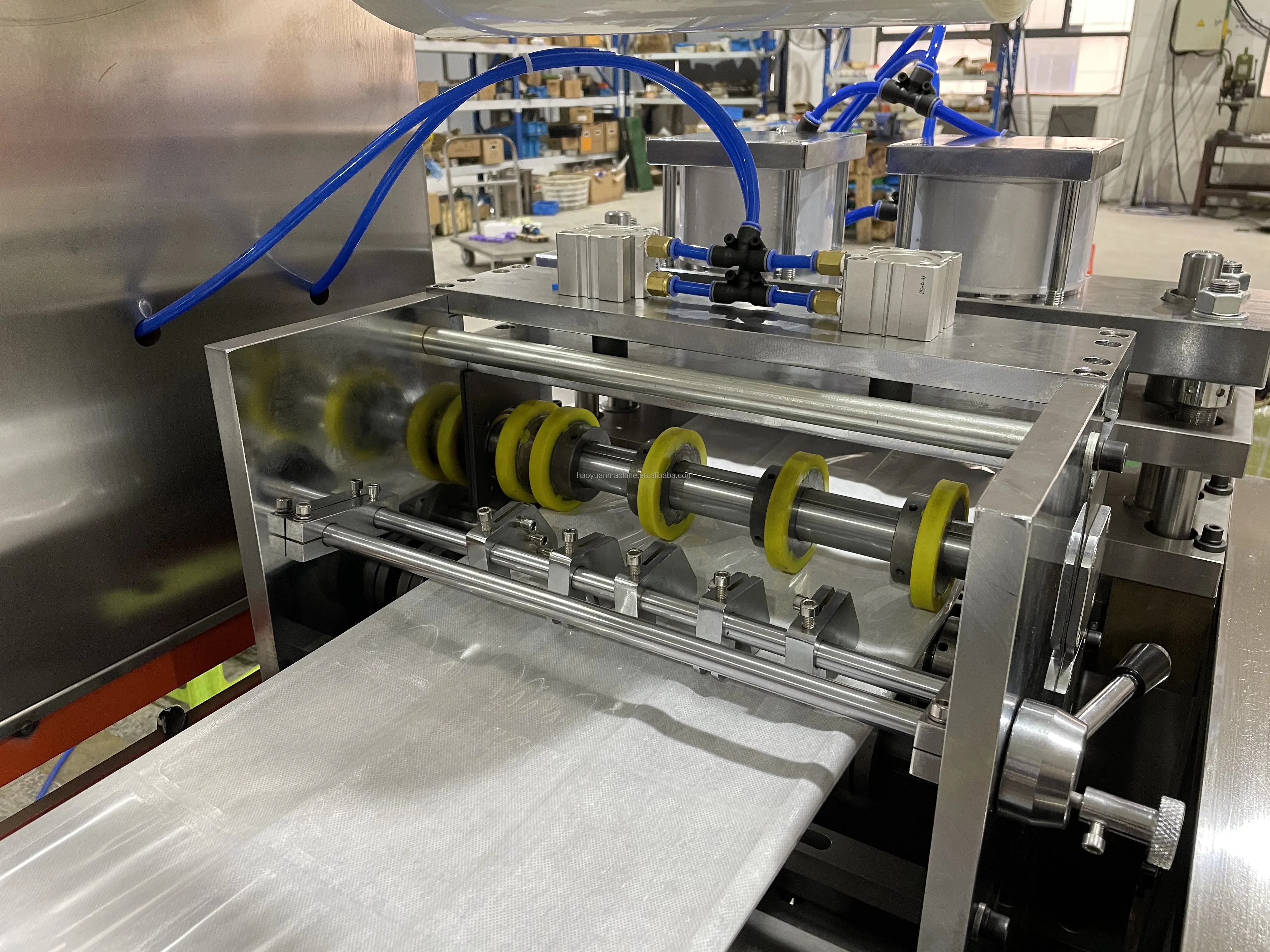 Full Automatic Biological Ice Pack Making Packing Machine Ice Bag Multi Function Packaging Machine HY-330B Haoyuan details