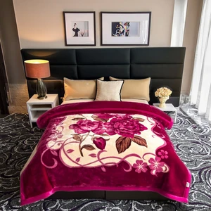 Super Heavy 6KG 100% Polyester Soft Warm Custom Raschel Blanket American Style Floral Printed 2-Ply Thickened Travel Bed Blanket