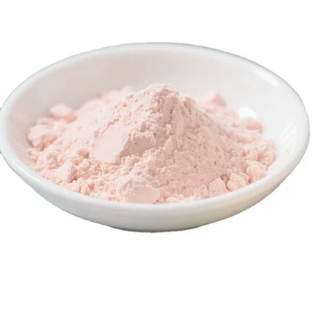 Natural Wholesale High Quality Pure Guava Fruit Flavor Powder