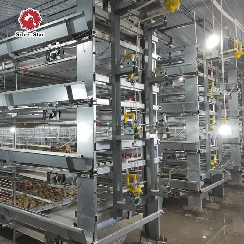 Alibaba.com: Silver Star 9YXB4-208 H Type Broiler Cage, fully automatic ...