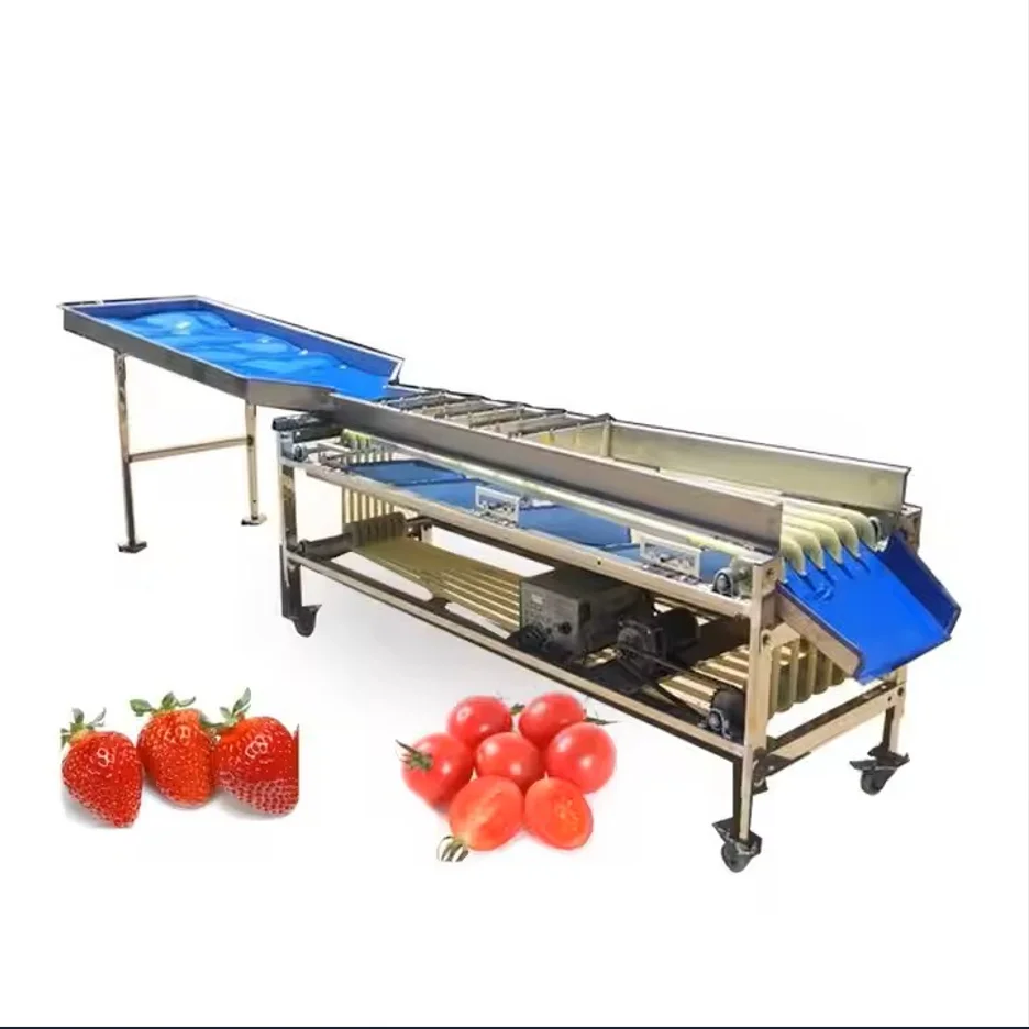 Efficient Fruit Grading - Blueberry Sorting Machine