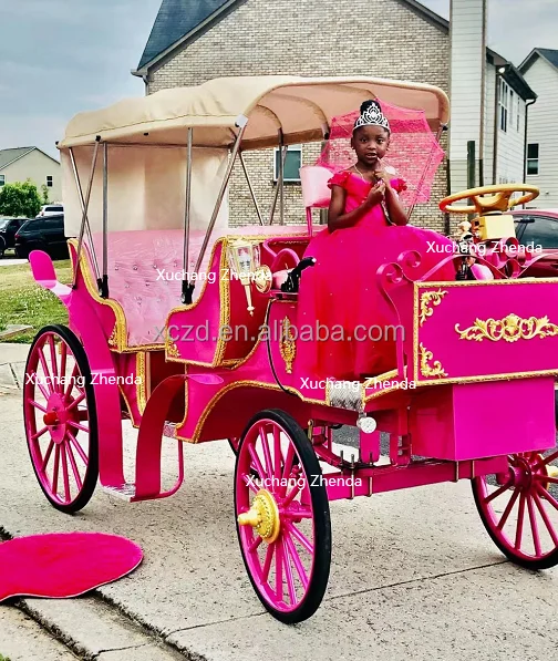 Special Transportation horse drawn carriage / Romantic wedding carriage Sightseeing Horse Carriage for Sale