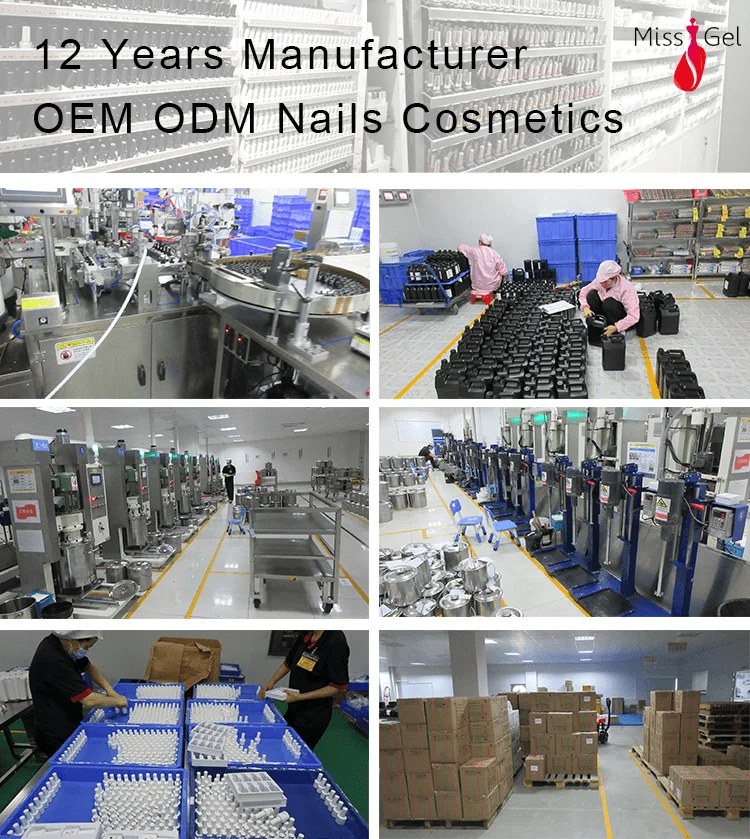 Free Sample Professional Nail Supplies Soak Off Gel Polish Custom Label
