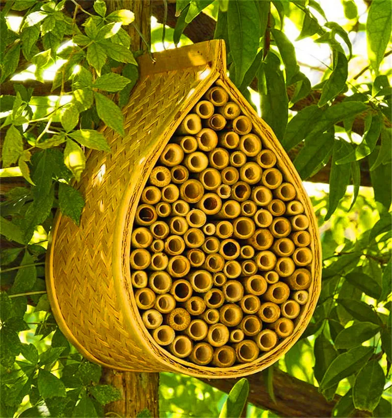天然石匠竹蜂屋竹蜂蜂巢 - buy mason bee,mason bee house,mason bee