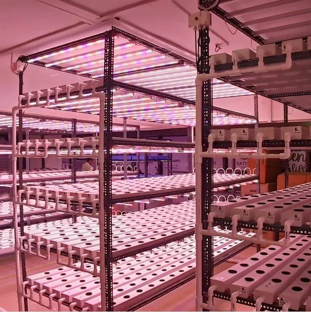 NFT Gully Hydroponic System Vertical NFT