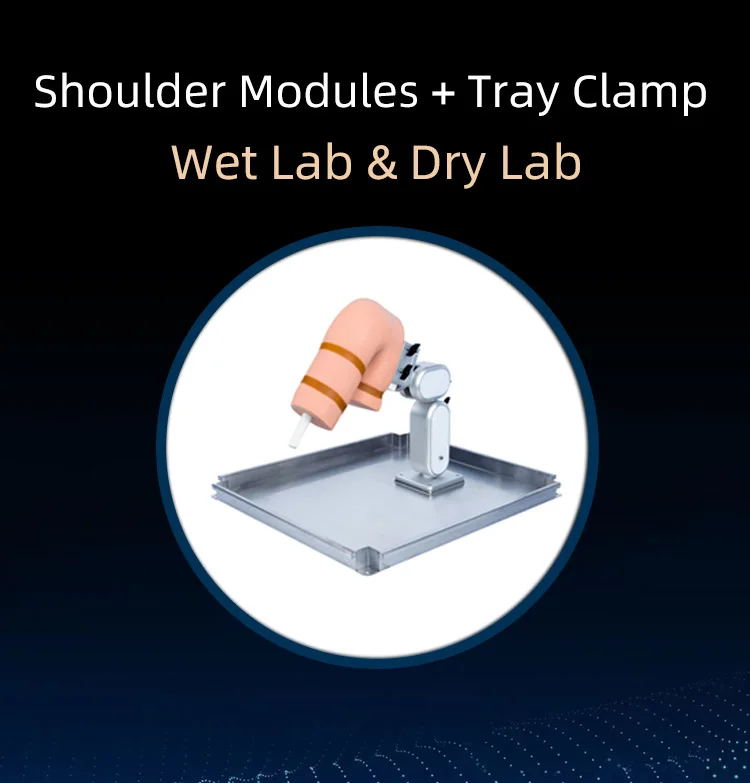 Arthroscopy Knee Joint Module Shoulder Module Arthroscopic Surgery Simulation Training Equipment Training Simulator