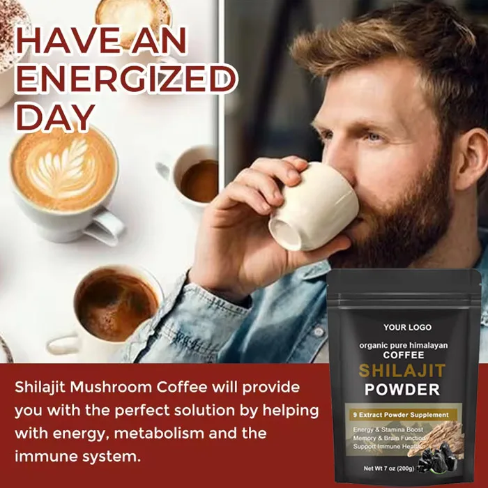 OEM Private Label Shilajit Coffee Powder Energy Drink Organic Himalayan Shilajit Extract Powder Pure Natural Shilajit Coffee