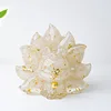 colorful White crystal