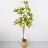1.85-meter tall, 14-headed, 8-stem golden-flecked banyan tree, green