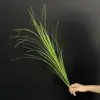 [19]Herbe de roseau verte de 70 cm