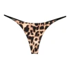Leopardo chiaro