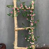 Enredadera de rosas dobles rosadas (1.8 metros)