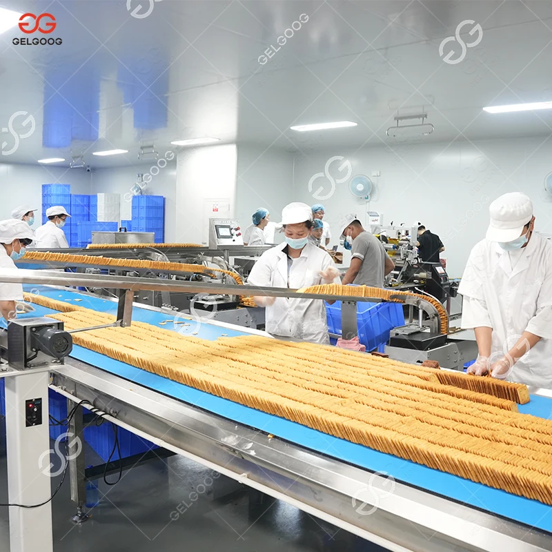 Complete Fully Automatic Hard and Soft Cookie Making Plant Round Egg Biscuit Production Line