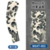 WSXT-003