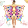 C-mariposa-004