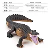 Cocodrilo BL-1014 27G