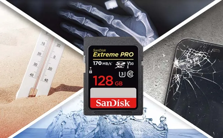 Extreme Pro Sd Sdsdxxy-064g-gn4in R170