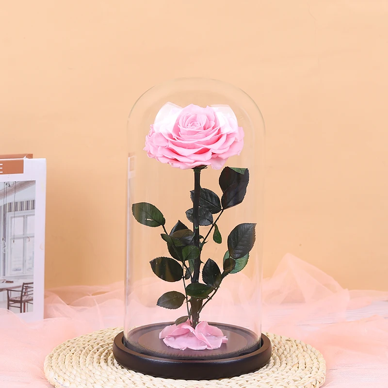 Forever Rose Rosa Eterna In Cupola Di Vetro – Vera Rosa Viola Conservata Per 3-5 Anni – Regalo Romantico Per Mamma E Lei – 22,9 Cm