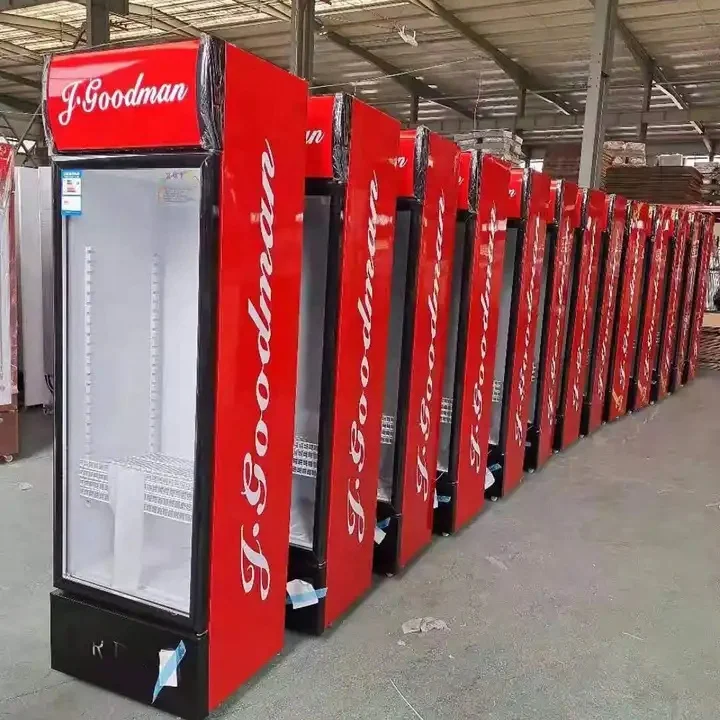 Single Glass Door Refrigerator Ideal for Coca Display