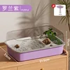 Roland Purple [Pet Hermit Crab] Panoramic Sunroof